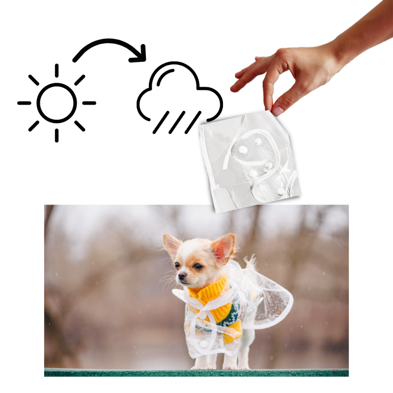 Kapuzenregenmantel für Hunde