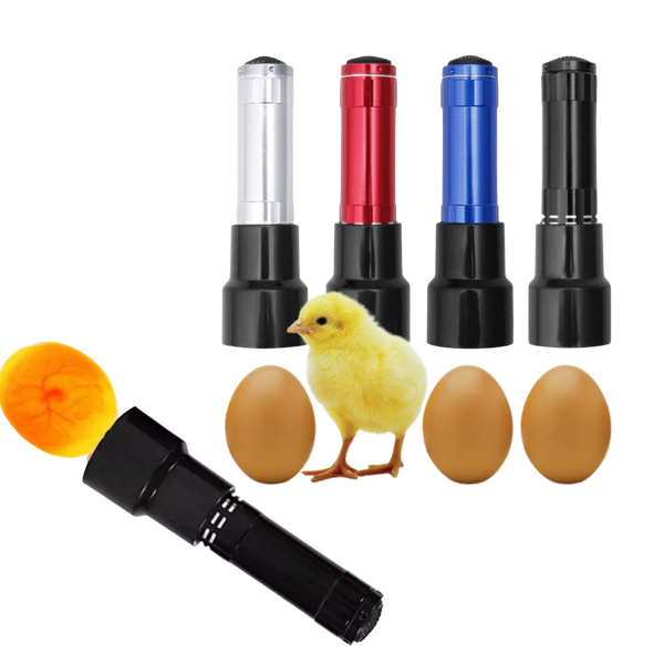 Eierleuchter