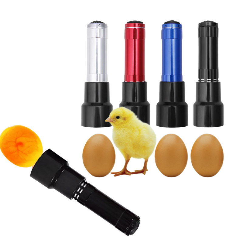 Eierleuchter