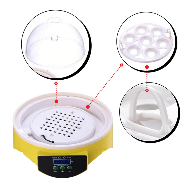 Automatischer Mini-Ei-Inkubator