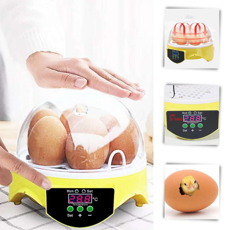 Automatischer Mini-Ei-Inkubator