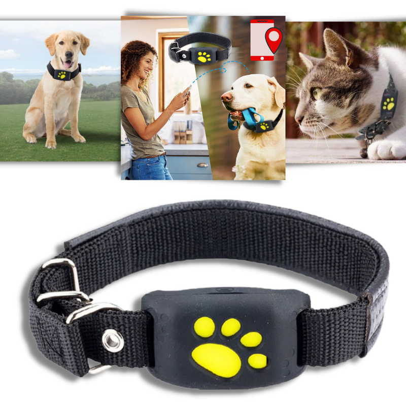 GPS-Tracking-Halsband für Haustiere