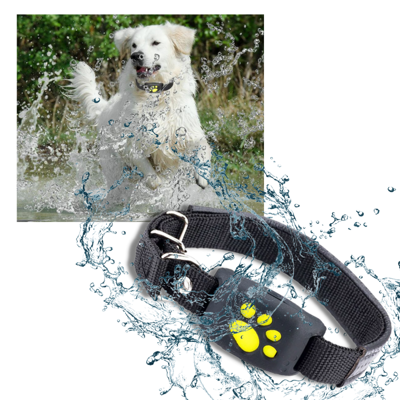 GPS-Tracking-Halsband für Haustiere