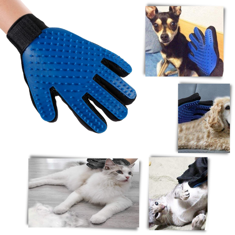 Pflegehandschuhe für Haustiere (Paar)
