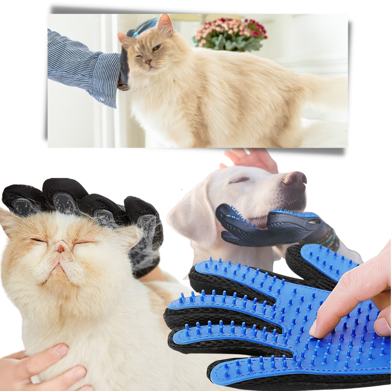 Pflegehandschuhe für Haustiere (Paar)