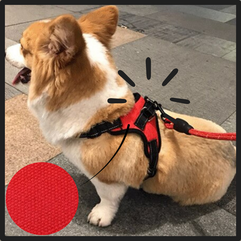 Reflektierendes, verstellbares Sattel-Hundegeschirr