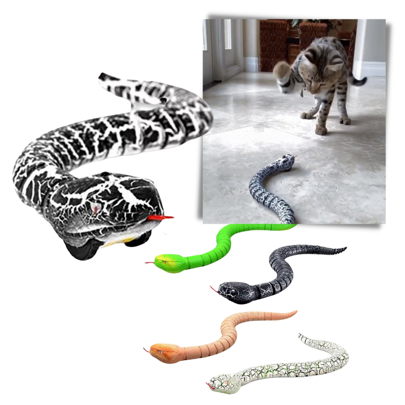 Ferngesteuertes Interaktives Schlangenspielzeug für Katzen