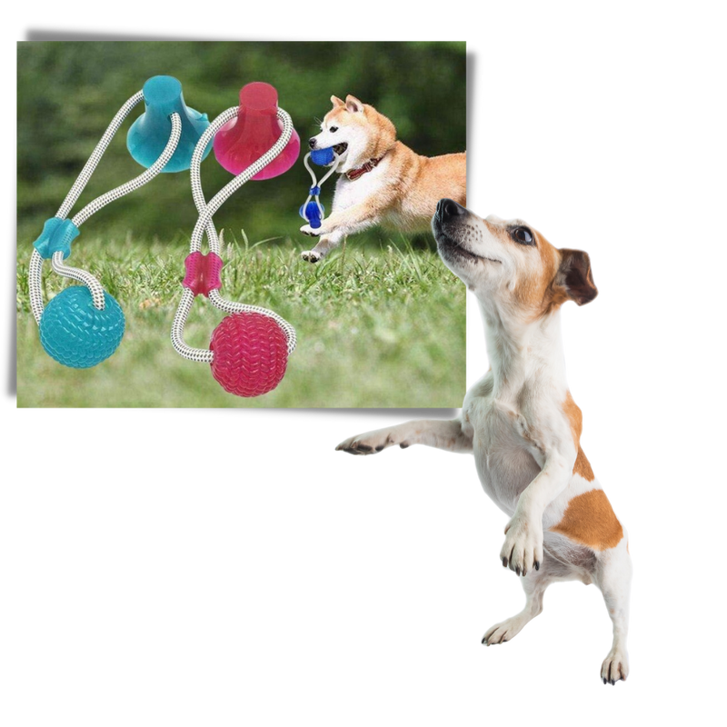 Saugnapf Hund Ziehball Spielzeug
