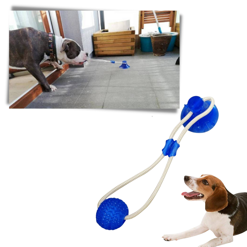 Saugnapf Hund Ziehball Spielzeug