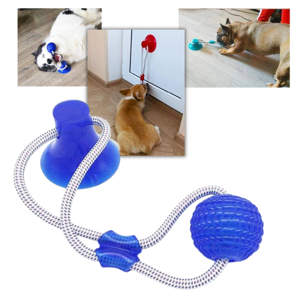 Saugnapf Hund Ziehball Spielzeug