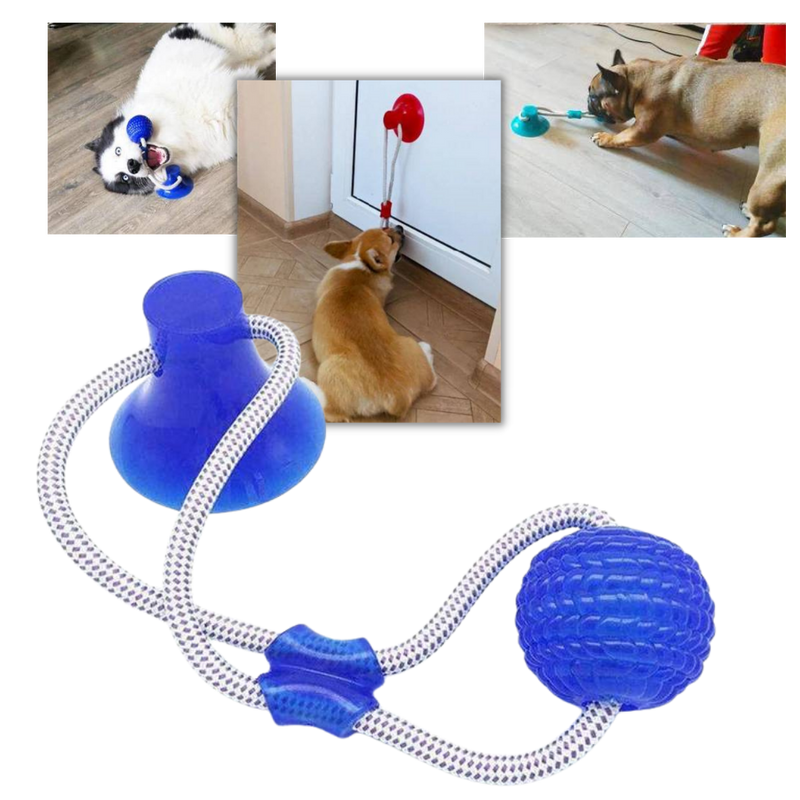 Saugnapf Hund Ziehball Spielzeug