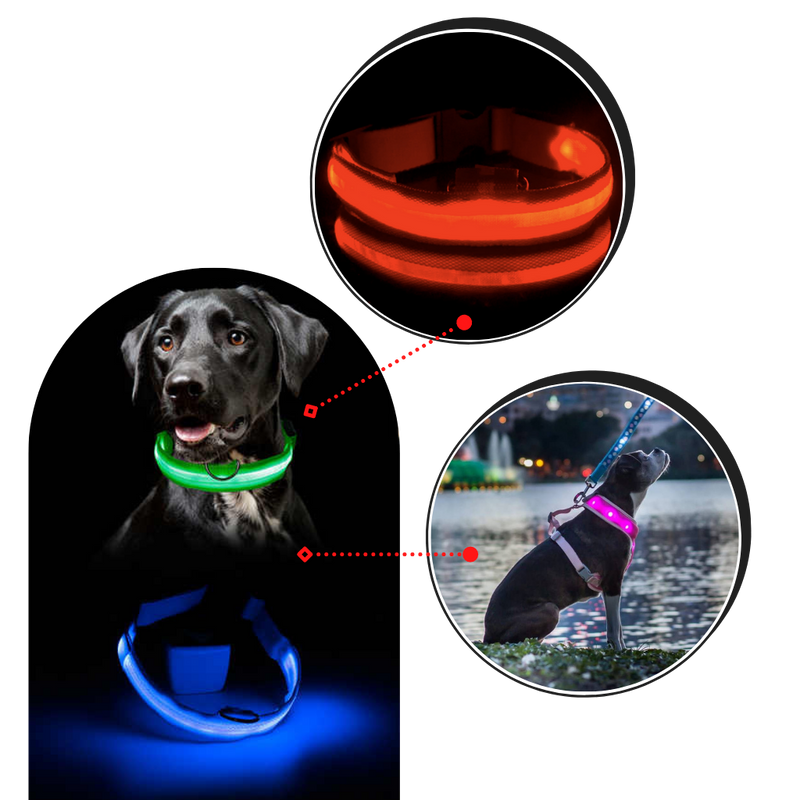 USB-aufladbares LED-Licht-Hundehalsband