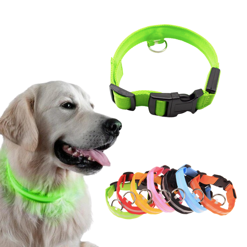 USB-aufladbares LED-Licht-Hundehalsband