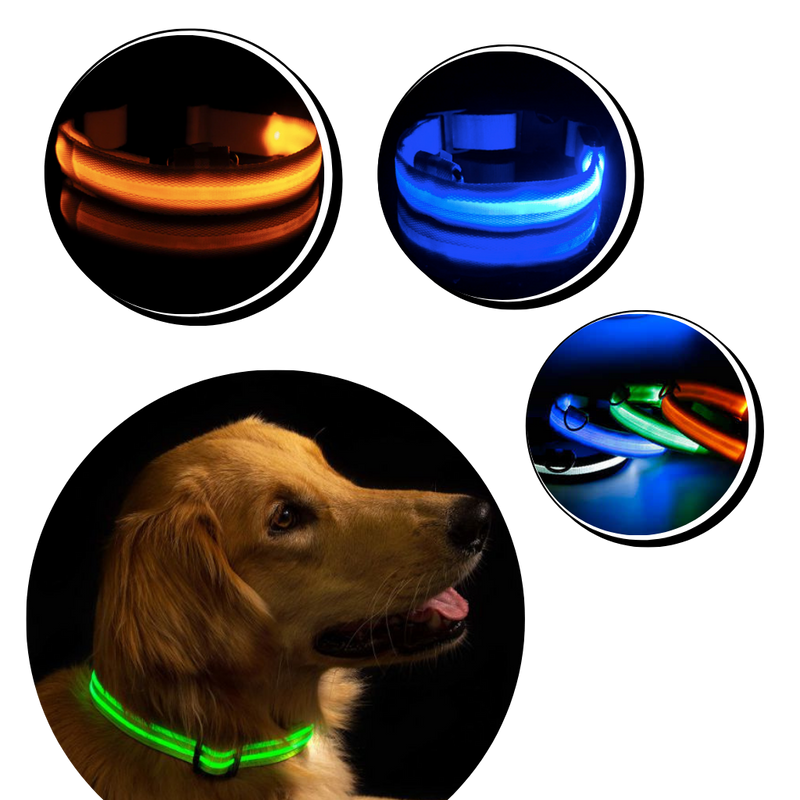 USB-aufladbares LED-Licht-Hundehalsband