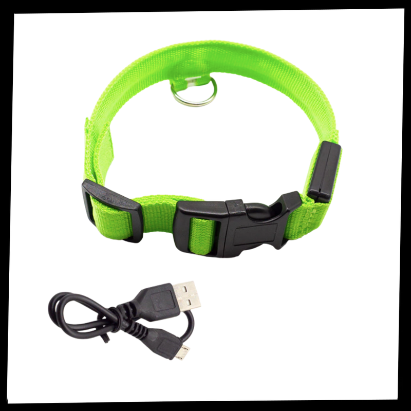 USB-aufladbares LED-Licht-Hundehalsband